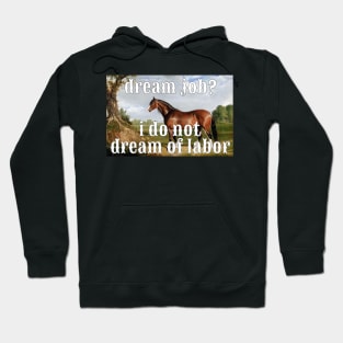 I do not dream of labor horse Hoodie